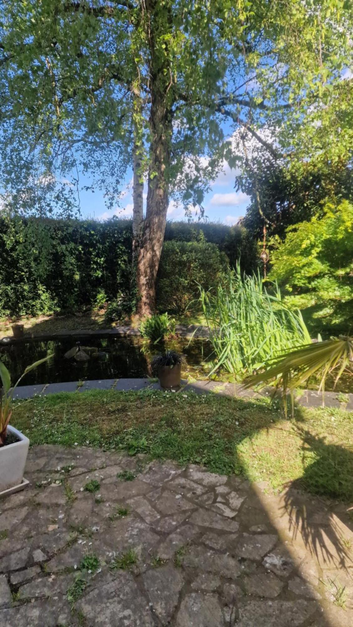 Le 45 Villa Isigny-sur-Mer Exteriör bild